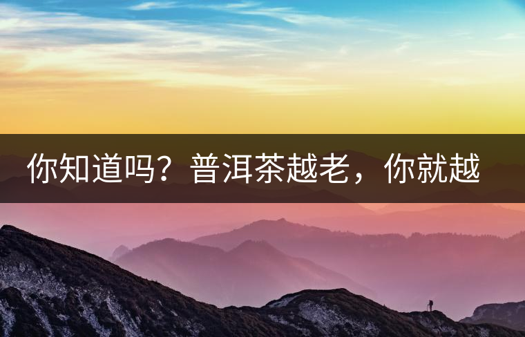 你知道嗎？普洱茶越老，你就越年輕