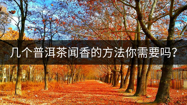 幾個普洱茶聞香的方法你需要嗎？