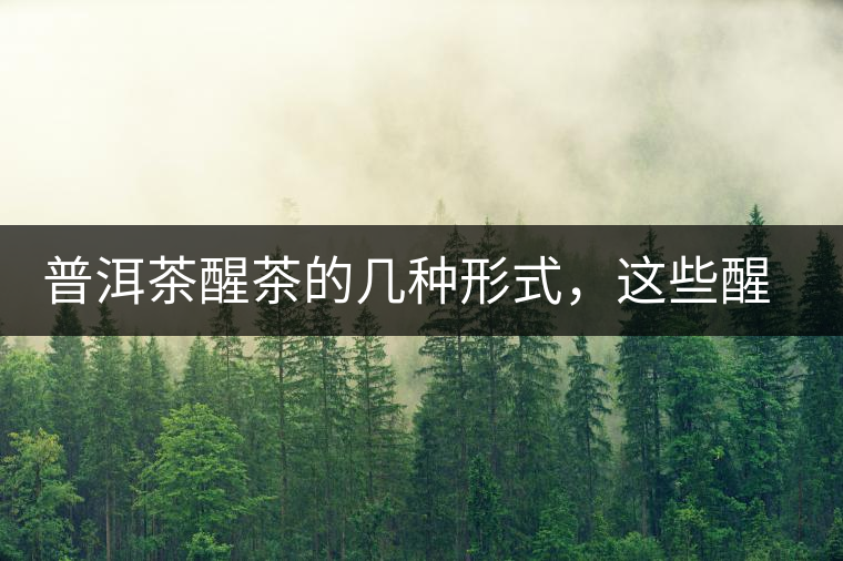 普洱茶醒茶的幾種形式，這些醒茶方法你都會(huì)了嗎？