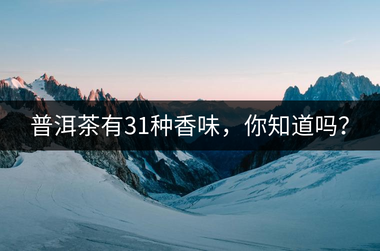 普洱茶有31種香味，你知道嗎？