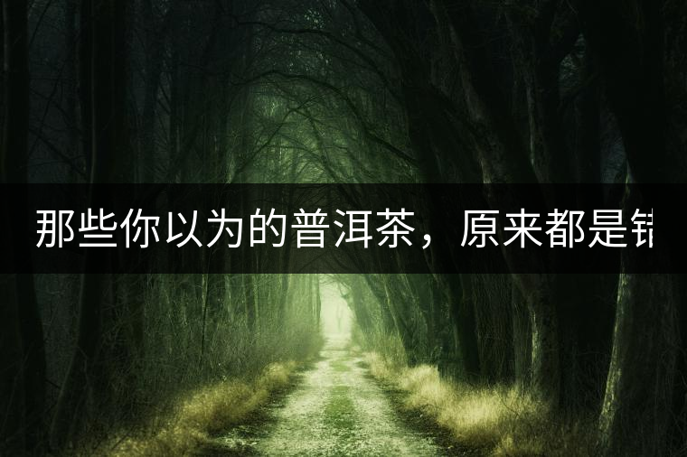 那些你以為的普洱茶，原來都是錯(cuò)的！