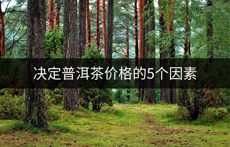 決定普洱茶價格的5個因素 決定普洱茶價格的5個因素