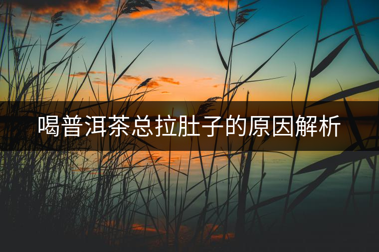 喝普洱茶總拉肚子的原因解析 喝普洱茶總拉肚子的原因解析