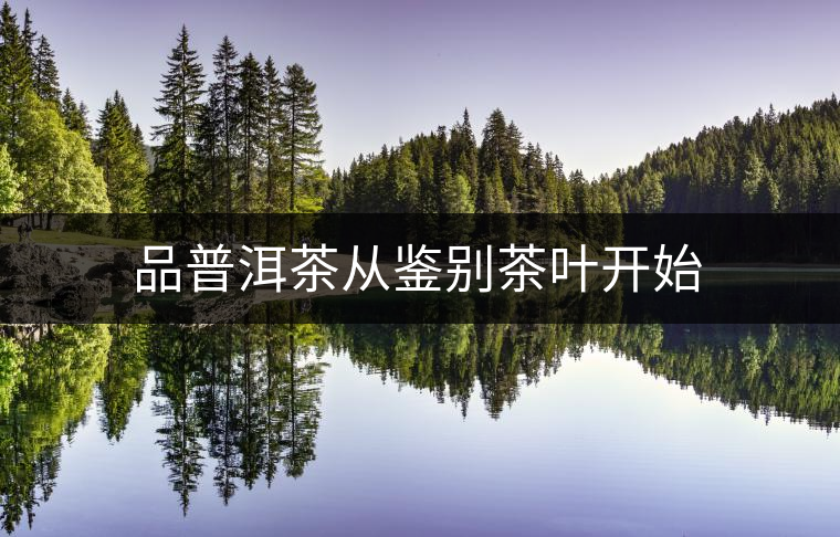 品普洱茶從鑒別茶葉開(kāi)始 品普洱茶從鑒別茶葉開(kāi)始