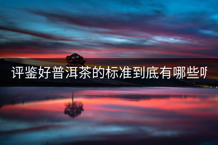 評(píng)鑒好普洱茶的標(biāo)準(zhǔn)到底有哪些呢?