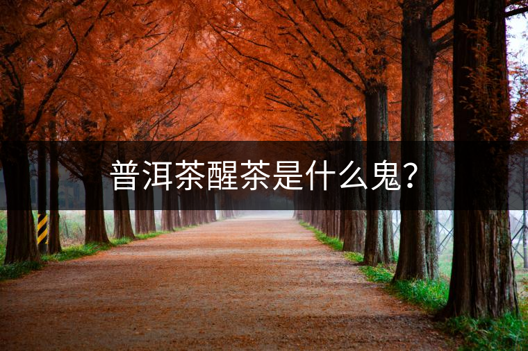 普洱茶醒茶是什么鬼？