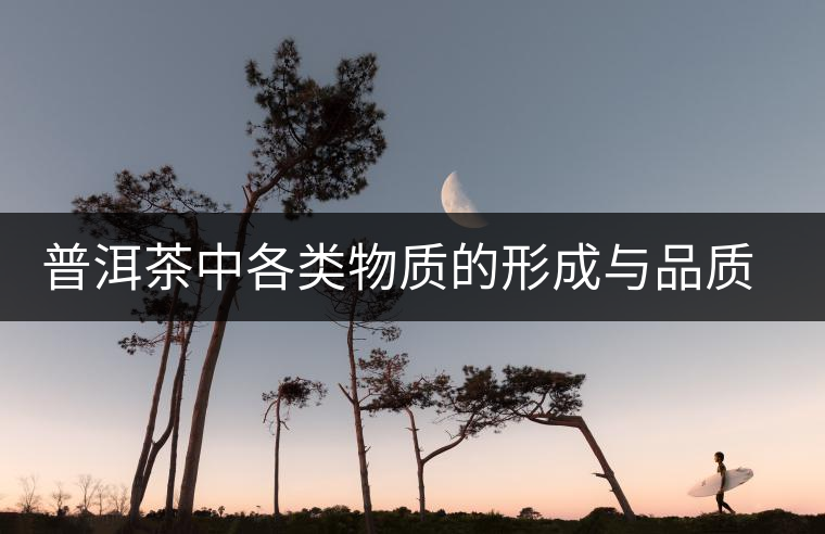 普洱茶中各類物質(zhì)的形成與品質(zhì)關系