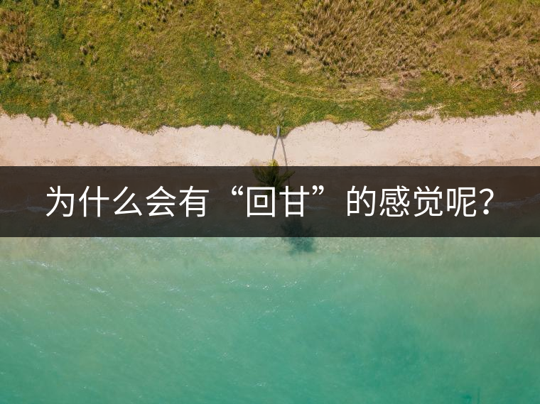 為什么會有“回甘”的感覺呢？