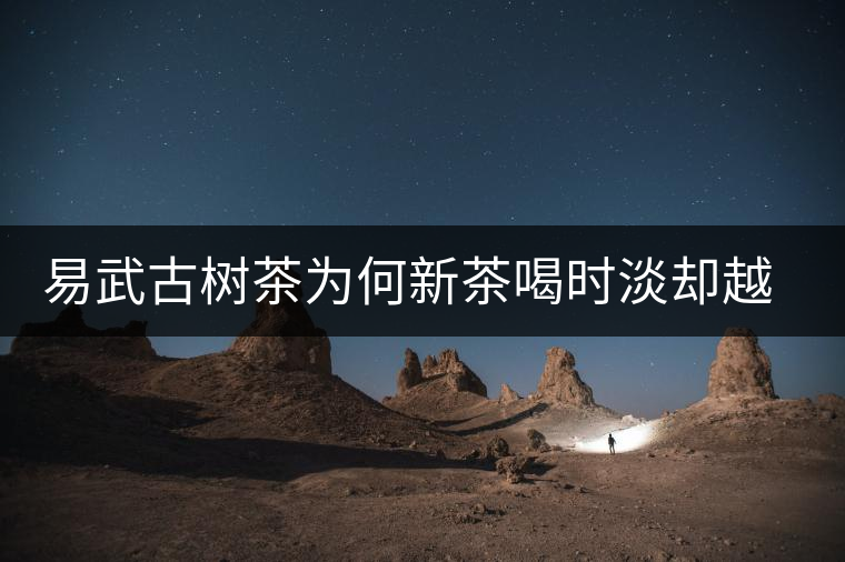 易武古樹茶為何新茶喝時淡卻越放越濃？