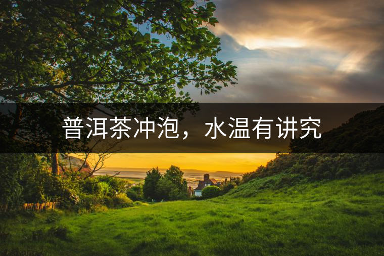 普洱茶沖泡，水溫有講究