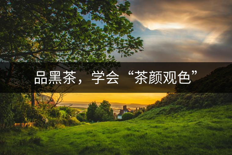 品黑茶，學(xué)會(huì)“茶顏觀色”