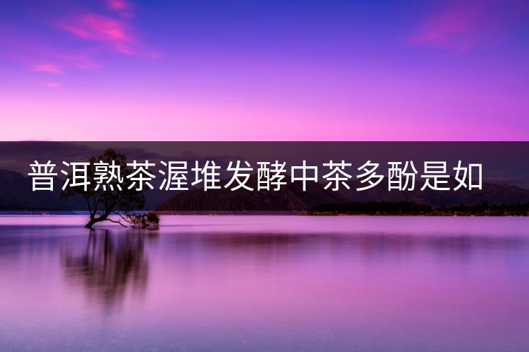 普洱熟茶渥堆發(fā)酵中茶多酚是如何轉(zhuǎn)化的？