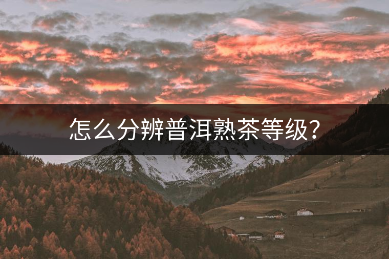 怎么分辨普洱熟茶等級(jí)？