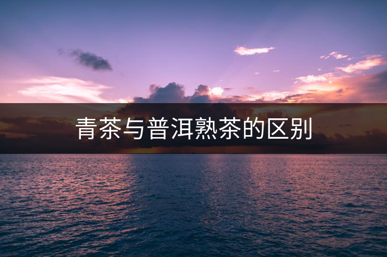 青茶與普洱熟茶的區(qū)別 青茶與普洱熟茶的區(qū)別