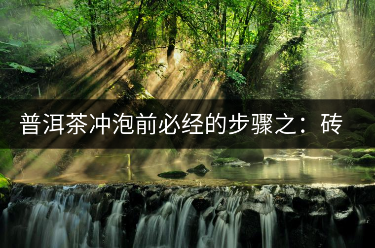 普洱茶沖泡前必經(jīng)的步驟之：磚茶如何撬？