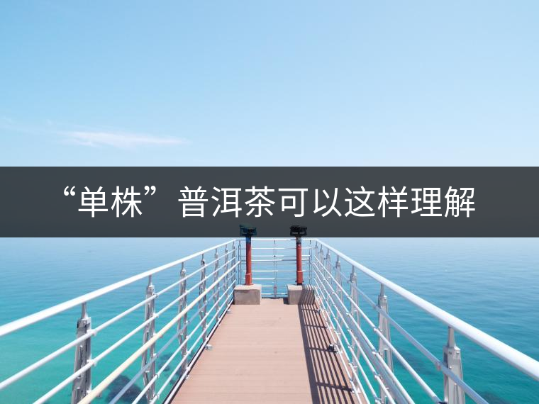 “單株”普洱茶可以這樣理解 “單株”普洱茶可以這樣理解