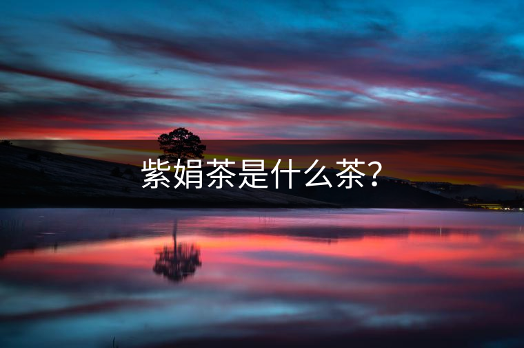 紫娟茶是什么茶？