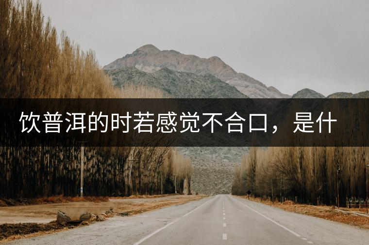 飲普洱的時若感覺不合口，是什么原呢？