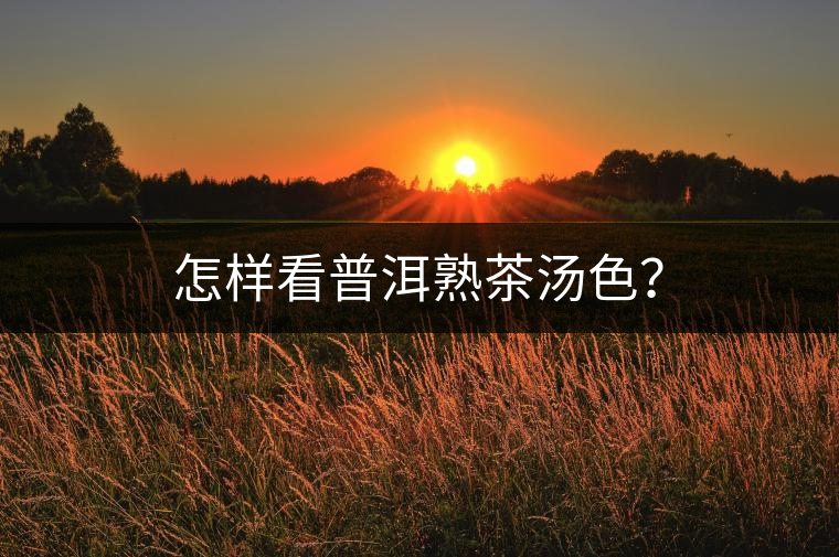 怎樣看普洱熟茶湯色？
