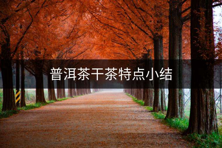 普洱茶干茶特點小結