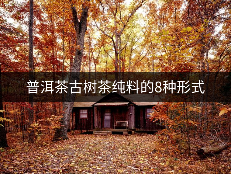 普洱茶古樹茶純料的8種形式 普洱茶古樹茶純料的8種形式