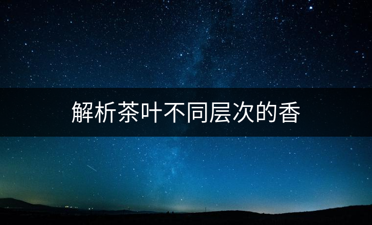 解析茶葉不同層次的香