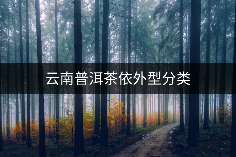 云南普洱茶依外型分類(lèi)