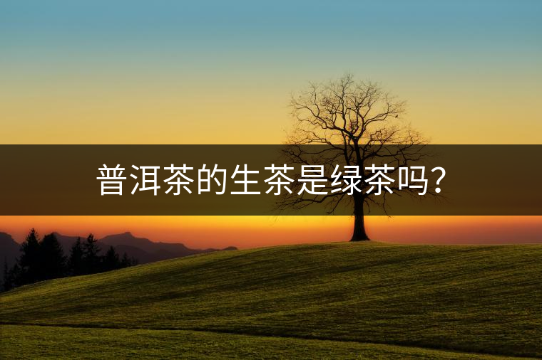 普洱茶的生茶是綠茶嗎？