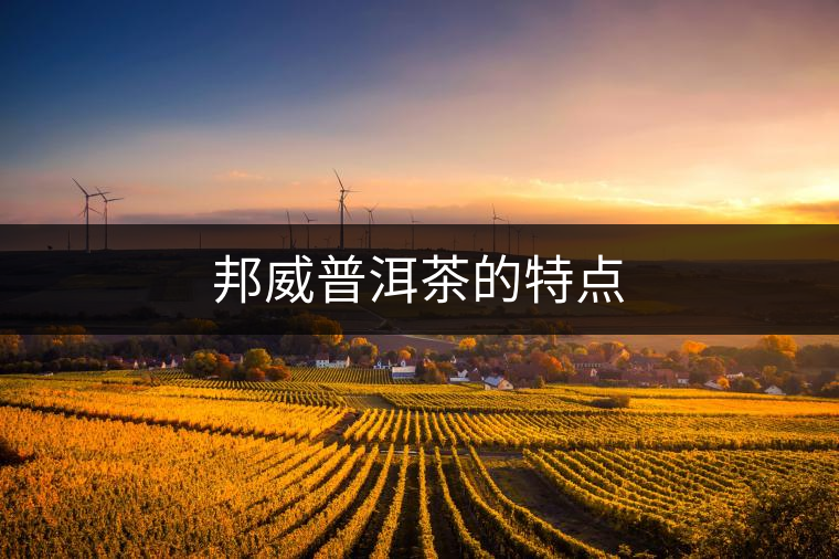 邦威普洱茶的特點