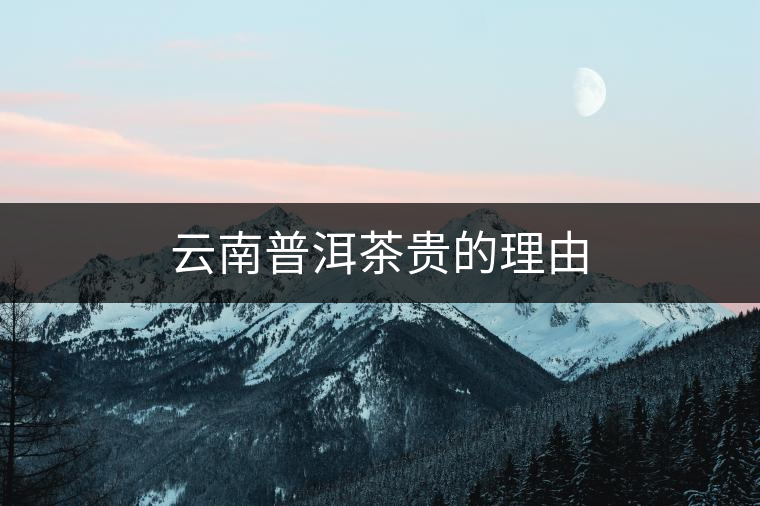 云南普洱茶貴的理由 云南普洱茶貴的理由