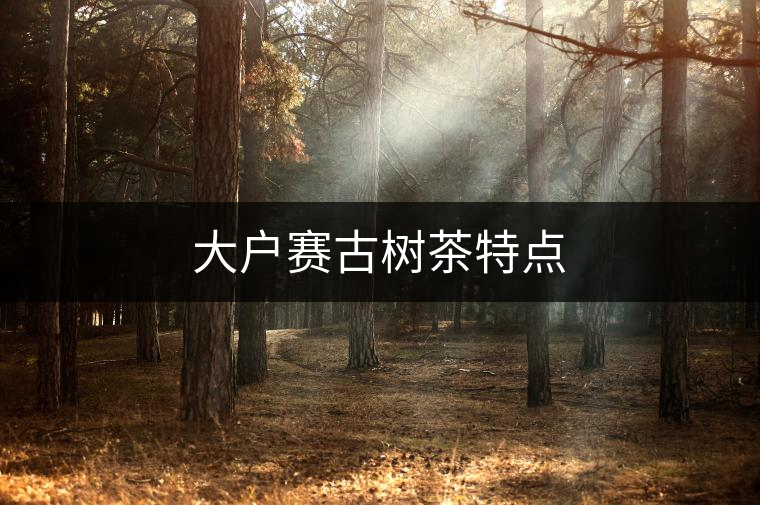 大戶(hù)賽古樹(shù)茶特點(diǎn) 大戶(hù)賽古樹(shù)茶特點(diǎn)