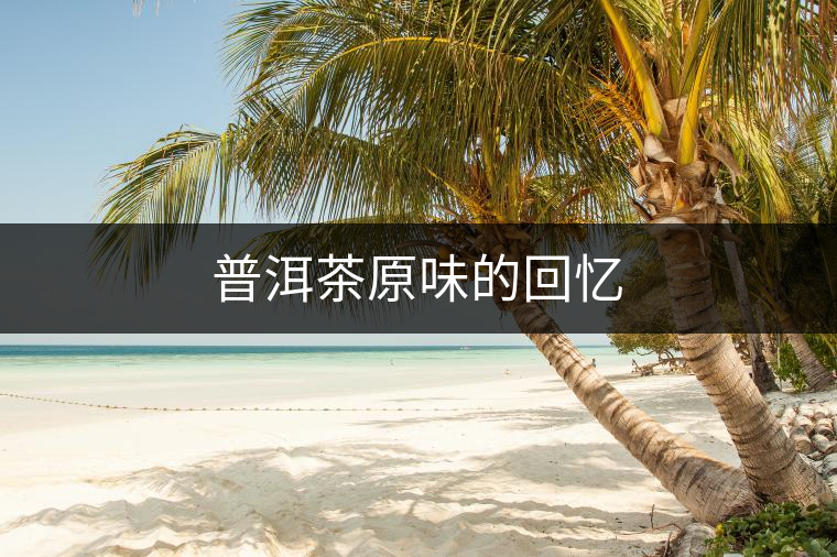 普洱茶原味的回憶