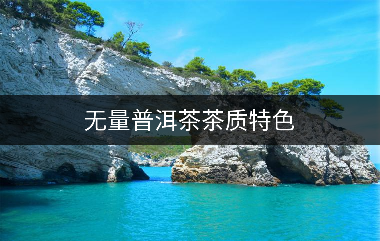 無量普洱茶茶質(zhì)特色