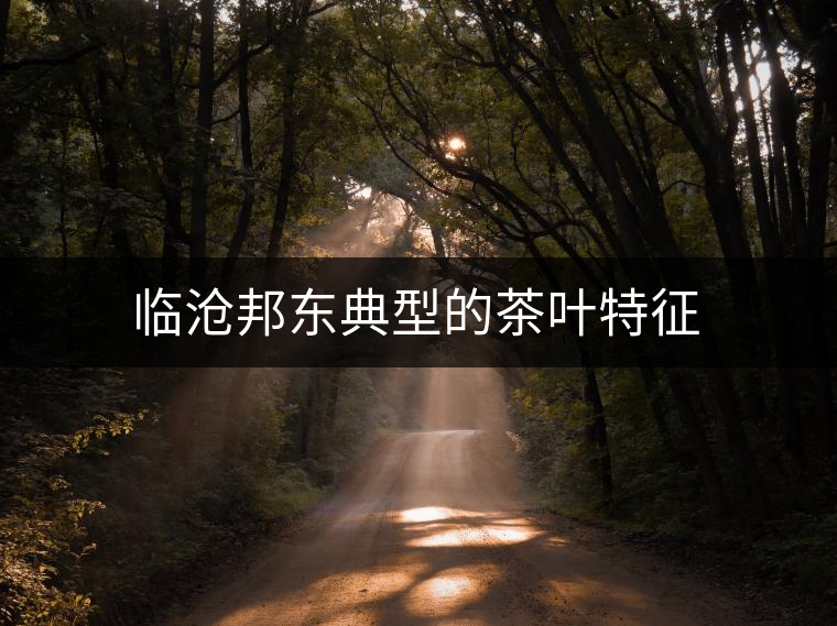 臨滄邦東典型的茶葉特征 臨滄邦東典型的茶葉特征