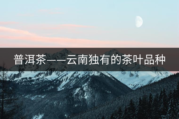 普洱茶——云南獨(dú)有的茶葉品種 普洱茶——云南獨(dú)有的茶葉品種