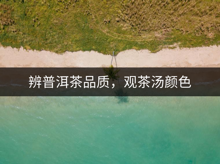 辨普洱茶品質(zhì),觀茶湯顏色 辨普洱茶品質(zhì),觀茶湯顏色