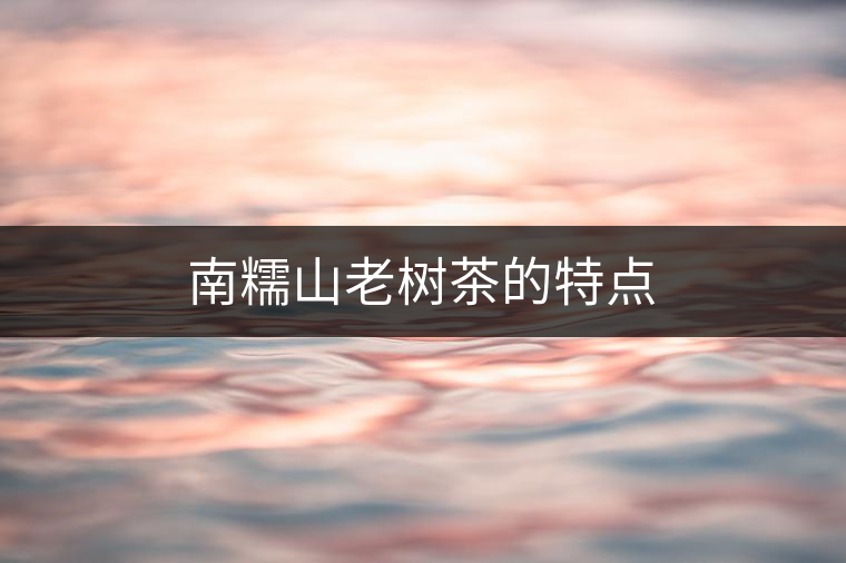 南糯山老樹茶的特點(diǎn)