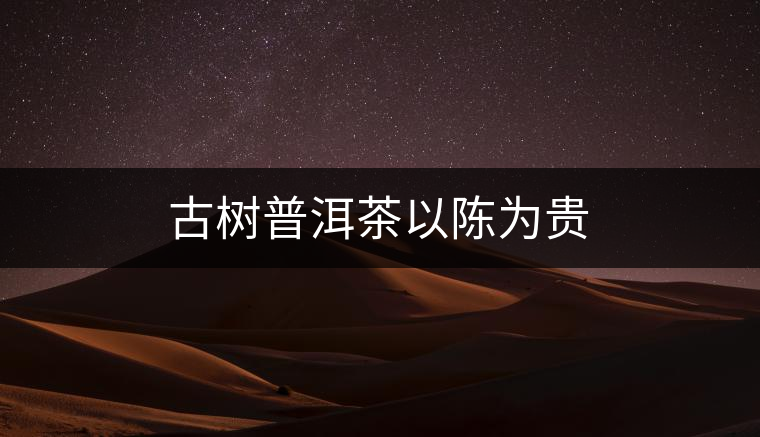 古樹普洱茶以陳為貴 古樹普洱茶以陳為貴