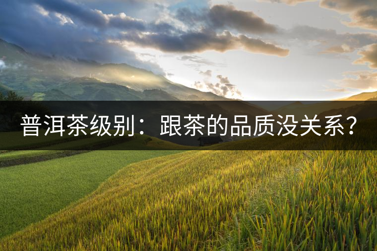 普洱茶級(jí)別：跟茶的品質(zhì)沒(méi)關(guān)系？