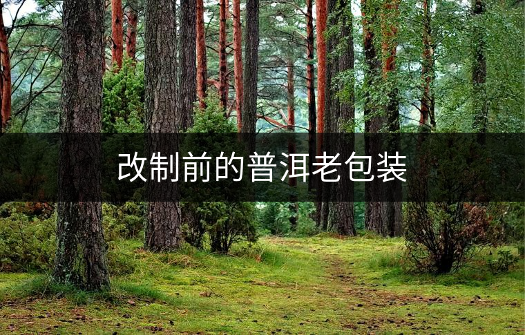 改制前的普洱老包裝 改制前的普洱老包裝