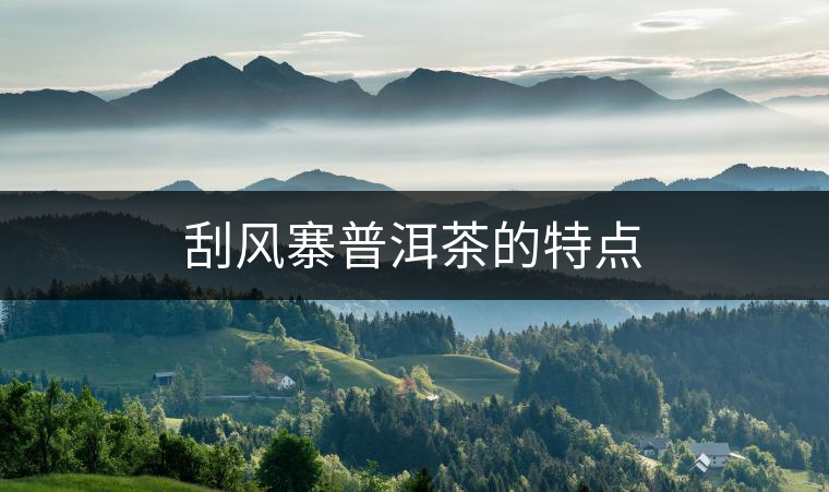 刮風寨普洱茶的特點 刮風寨普洱茶的特點