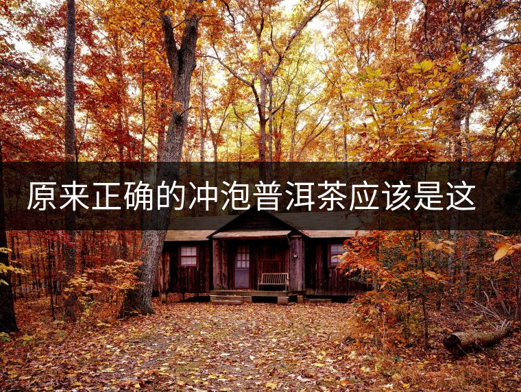 原來正確的沖泡普洱茶應該是這樣的 原來正確的沖泡普洱茶應該是這樣的