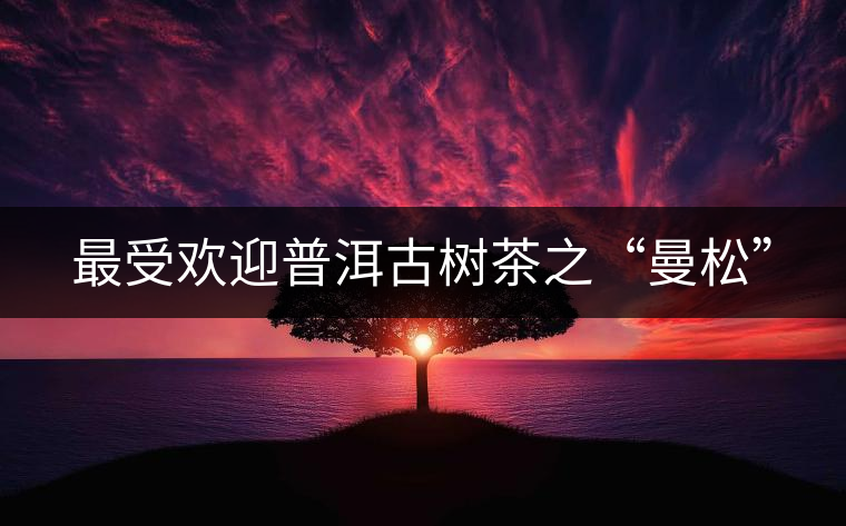 最受歡迎普洱古樹茶之“曼松” 最受歡迎普洱古樹茶之“曼松”