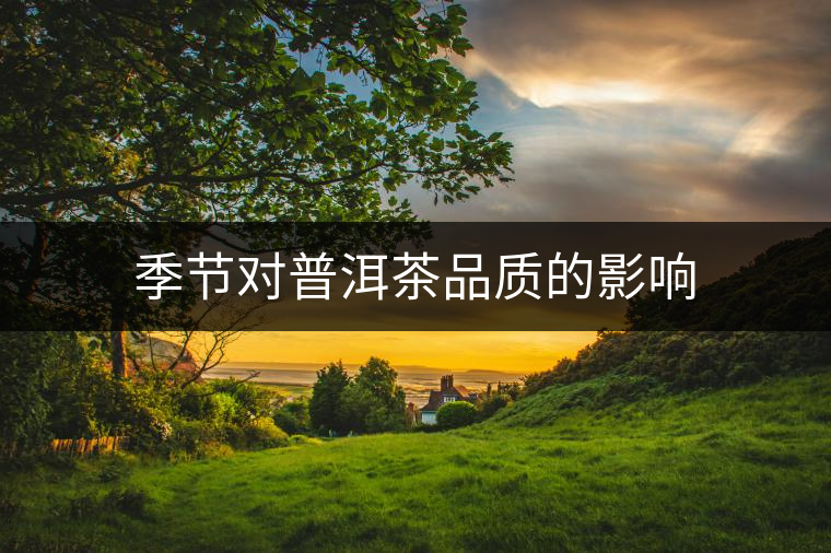 季節(jié)對(duì)普洱茶品質(zhì)的影響
