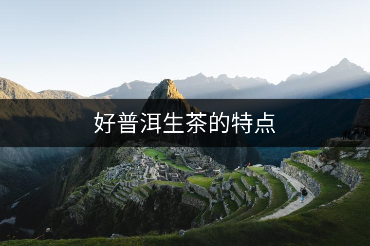 好普洱生茶的特點 好普洱生茶的特點