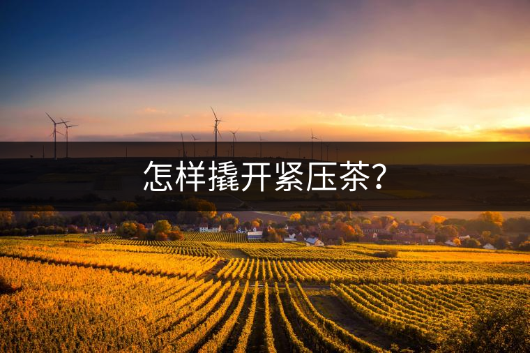 怎樣撬開緊壓茶？