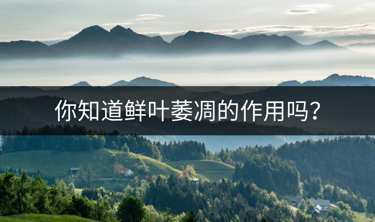 你知道鮮葉萎凋的作用嗎？