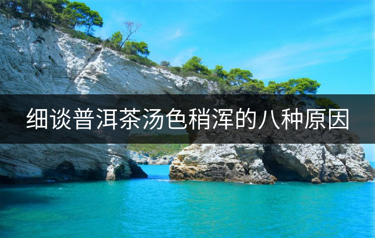 細談普洱茶湯色稍渾的八種原因