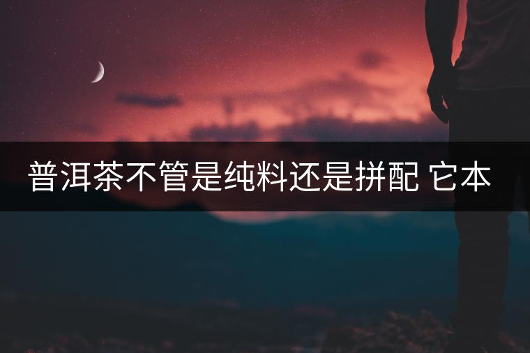 普洱茶不管是純料還是拼配 它本身就很有意思