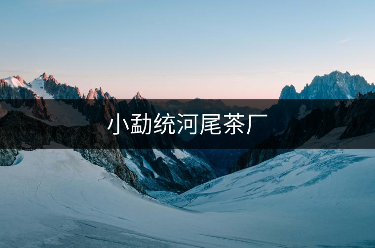 小勐統(tǒng)河尾茶廠(chǎng)